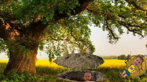 СЕРИЯ 2. Таинственные сокровища! Мистер Макс и Мисс Кэти в поисках клада!