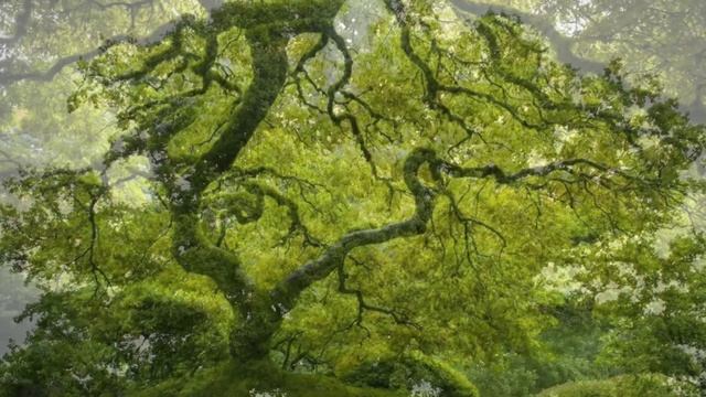 23 марта . От куриной слепоты . смотреть онлайн