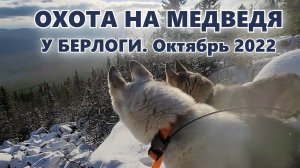 ЗАЛЕЗ В БЕРЛОГУ во время охоты на МЕДВЕДЯ | Охота с лайками на медведя в октябре 2022 года