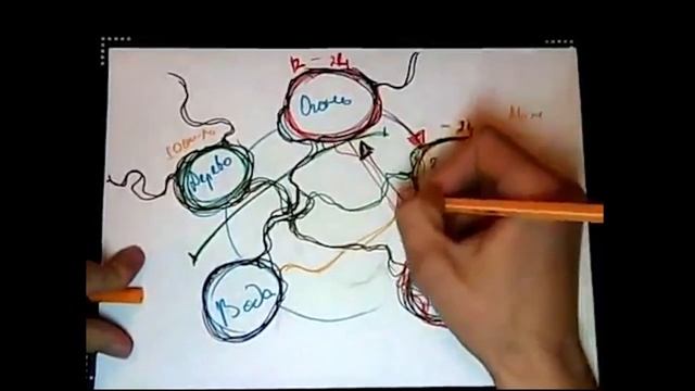 Нейрографика инструкторский курс | Нейроколор | Энергия цвета | Ч -1
