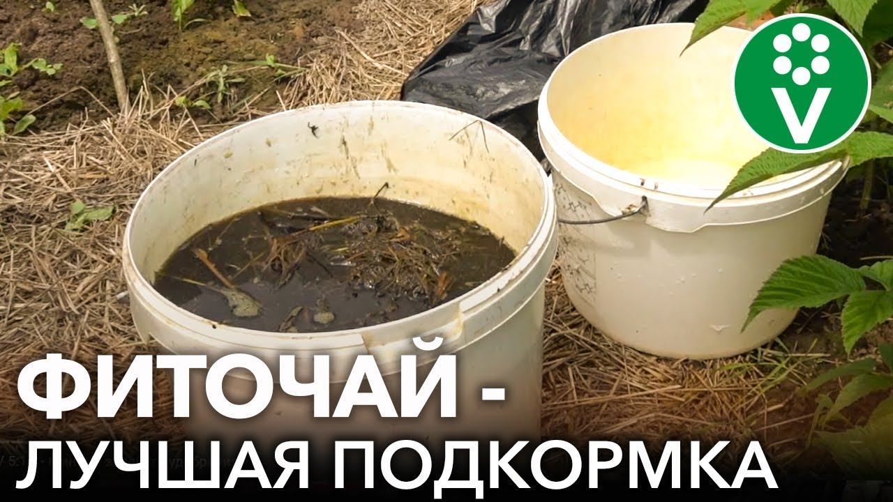 ЭТО УДОБРЕНИЕ ДАЖЕ ЛУЧШЕ БРОДИЛОВКИ! Без запаха, готово за 3 дня, подходит для всех культур