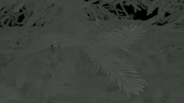 ? Галлимим и Трицератопс | The Isle.