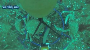 Amazing Catch Hundreds Tons Alaska King Crab With Modern Big Boat - Amazing Crab Fishing on the sea