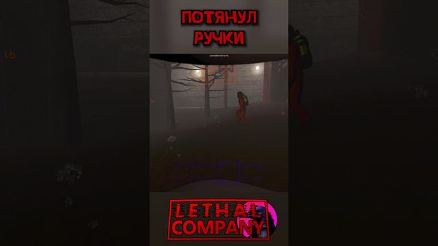 Почти обнимашки Lethal Company