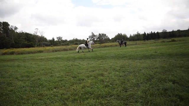 ZEPPLIN ~ IAN ROBERTS CLINIC DREAMCREST 2020 смотреть онлайн