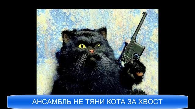 Ансамбль не тяни кота за хвост исполняет песню мурка