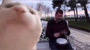 АРИ ПАПА ПАРИ ПАРИ??????