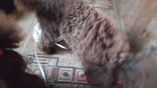 УЛИЧНОЕ ОСВЕЩЕНИЕ НА ДАЧЕ | СВЕТ В САРАЕ смотреть онлайн