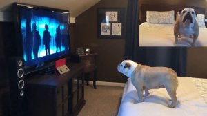 Khaleesi Reacts to “IT Chapter Two” Final Trailer