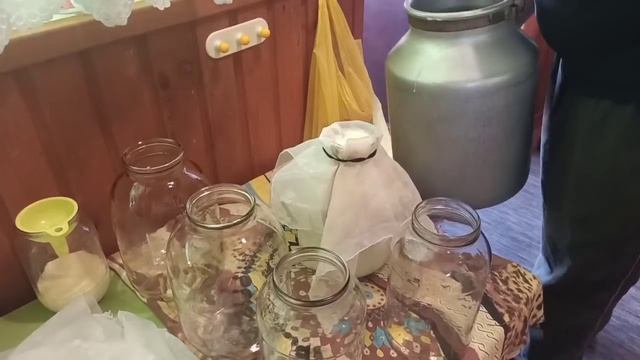 Утренний удой МОЛОКА/Самый вкусный ТВОРОГ из духовки/Цена молока в нашем ХОЗЯЙСТВЕ. смотреть онлайн