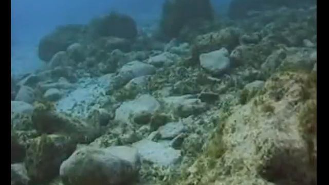 Урок молюски смотреть онлайн