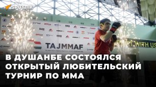 В Душанбе состоялся открытый любительский турнир по ММА