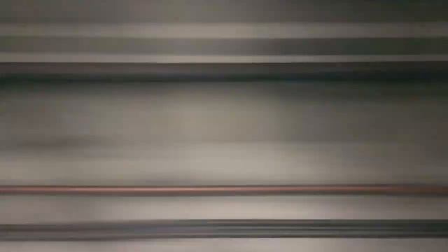 От Беговой до Приморской на НеВе смотреть онлайн