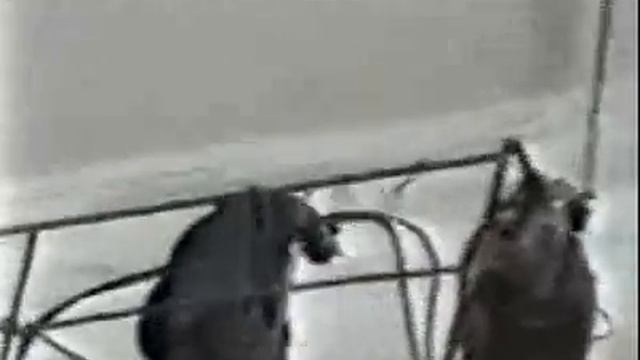 Напыление ППУ на фасад 10-ти этажки,ПЕНА-20,НСТ смотреть онлайн