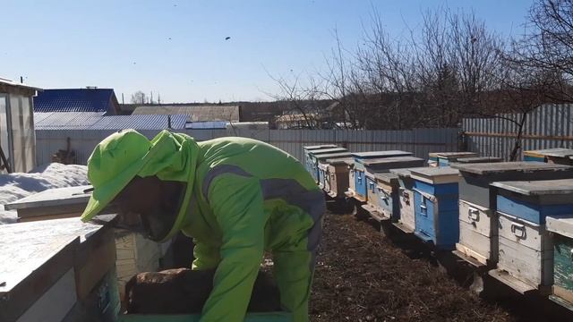 Дезинфекция доньев ульев хлористым раствором