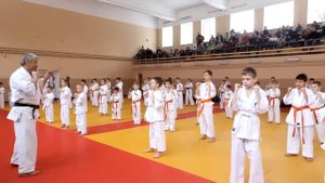 оранжевый пояс экзамен ката