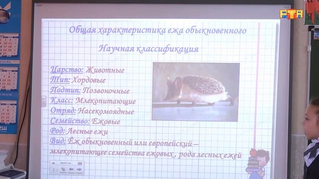 Городская научно практическая конференция школьников смотреть онлайн