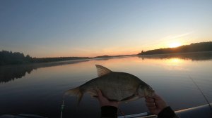 Ловля ЛЕЩА на донку. ЛЕЩЁВОЕ ЭЛЬДАРАДО!!!!