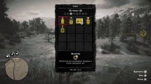 Как правильно перепроходить Red Dead Redemption 2