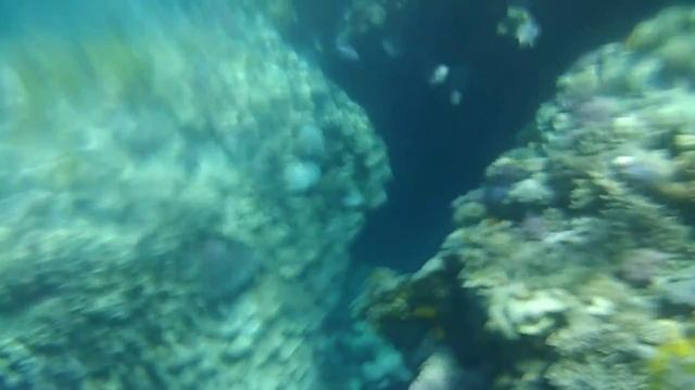 Пляж El Fanar в Шарм Эль Шейхе смотреть онлайн