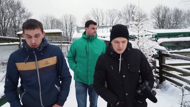 Помощь диким животным, приют. Животные, которым удалось спастись. Добрые люди. смотреть онлайн