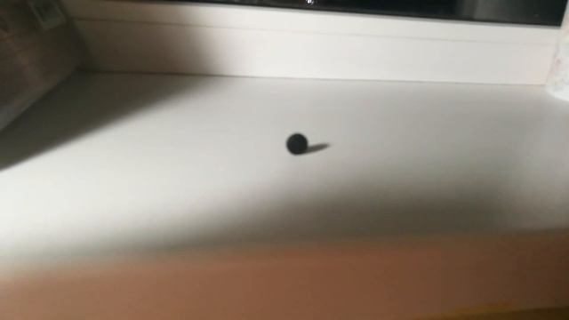 Опыт с активированным углем смотреть онлайн