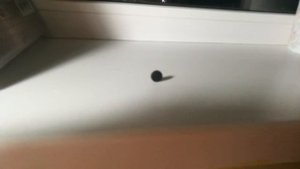 Опыт с активированным углем