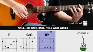 WILD WORLD - Mr. Big - Guitar lesson - Acoustic guitar with chords & lyrics