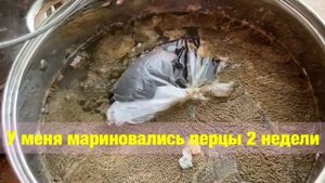 Армянский цицак бабушкин рецепт Հայկական ծիծակ տատիկի բաղադրատոմսը Armenian tsitsak old recipe