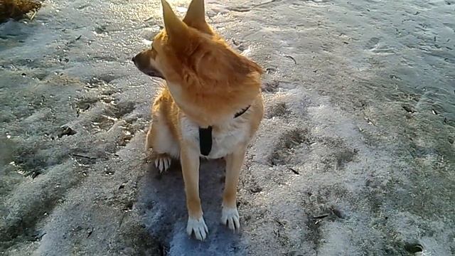 Как почистить шубу от Бониты смотреть онлайн