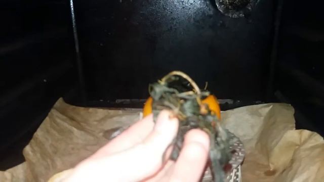 Как из любого растения сделать чай или "ферментация в апельсине" ЧАСТЬ2 смотреть онлайн