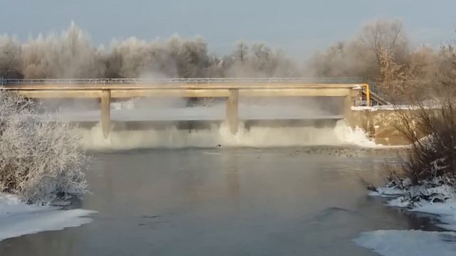 Кормим птиц смотреть онлайн