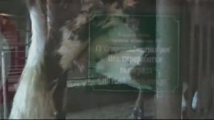 Поселок Большевик Ставропольский край Благодарненский район