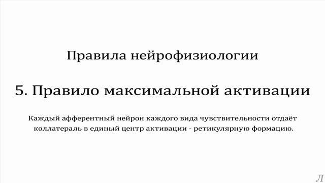 10.5 Правила нейрофизиологии. Правило максимальной активации