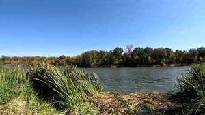 Щука на троллинг. Лещ на макуху.