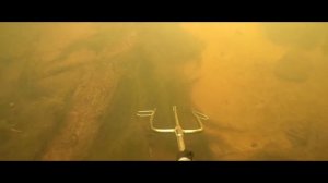 Подводная охота #река Серёжа