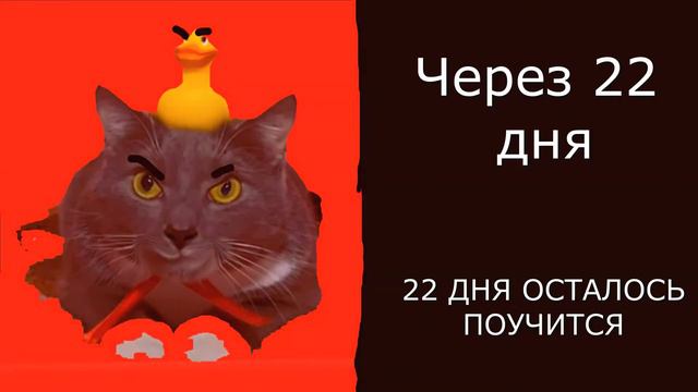 До летних каникул осталось спс Code-код