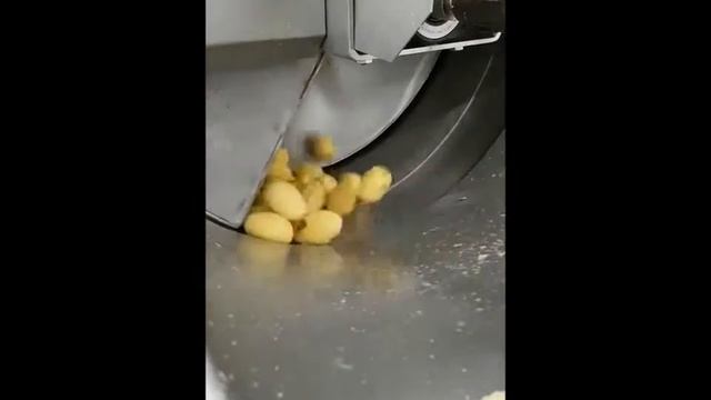 Линия чистки картофеля: корундовая (абразивная) и ножевая очистка. Картофелеочистительная машина.