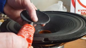 Профессиональный ремонт профессиональных динамиков