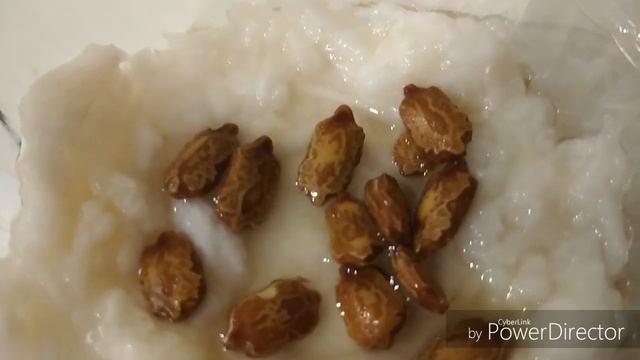 Садим дома момордику косточками. смотреть онлайн