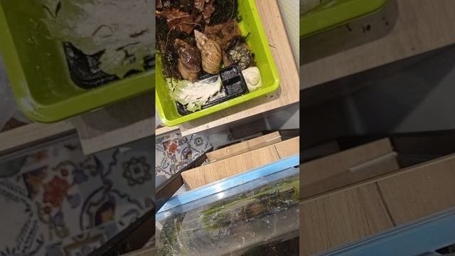 уход