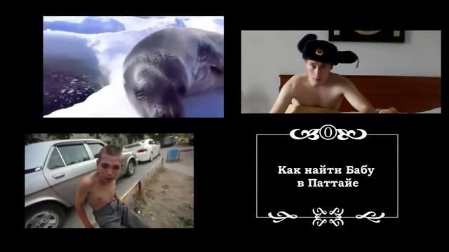 Самый Идеальный Шашлык - инструкция