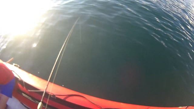 Морская рыбалка с лодки на черном море. Ловим с подводных скал в Абхазии город Пицунда.