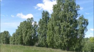 Геннадий Сюрсин Моя Удмуртия-Родина малая(гармонь)