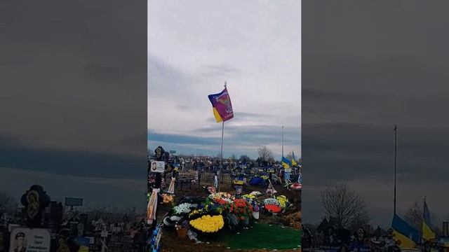 Могилизация.