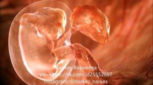 Медитация методом ТЕТАХИЛИНГ  "Исцеление в утробе матери"