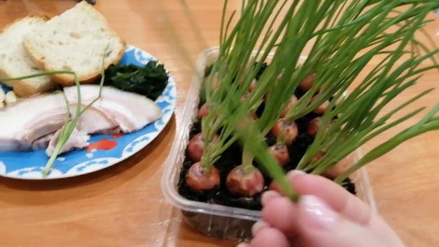 Свежий лук!!!