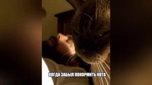 Давай поднимем ручки, и будем танцевать....🤣