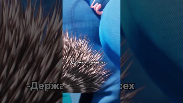 Звери незаметно просочились в офис ?