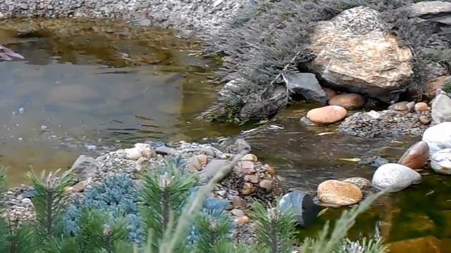 Искусственный ручей с форелью в стиле "Лофт" смотреть онлайн